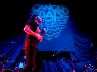 Cancer Bats