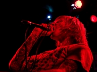 Evergreen Terrace