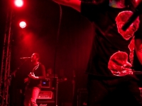 The Used