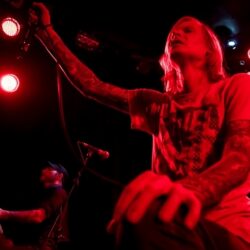 Evergreen Terrace