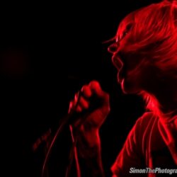 Evergreen Terrace