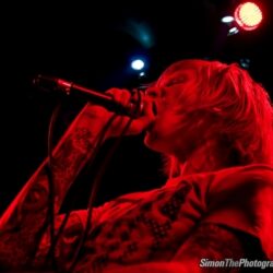 Evergreen Terrace