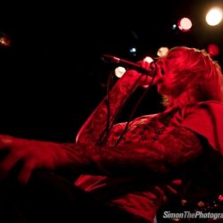 Evergreen Terrace