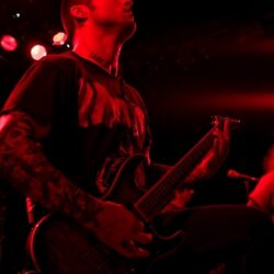 Evergreen Terrace