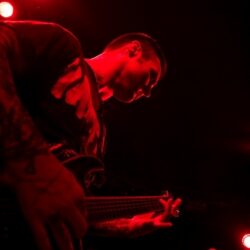Evergreen Terrace