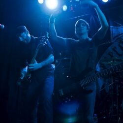 Evergreen Terrace