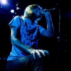 Evergreen Terrace