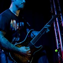 Evergreen Terrace