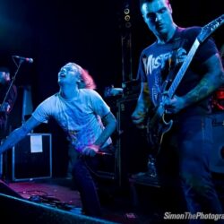 Evergreen Terrace