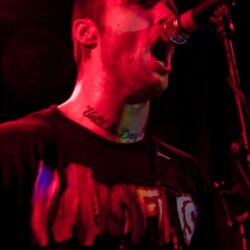 Evergreen Terrace