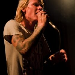 Evergreen Terrace