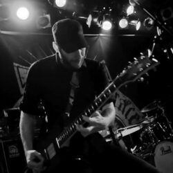Evergreen Terrace