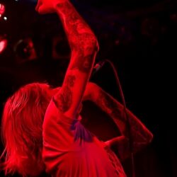 Evergreen Terrace