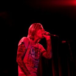 Evergreen Terrace