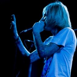 Evergreen Terrace
