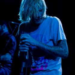 Evergreen Terrace