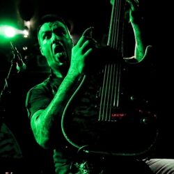 Evergreen Terrace