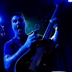 Evergreen Terrace