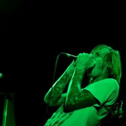 Evergreen Terrace