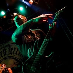 Evergreen Terrace