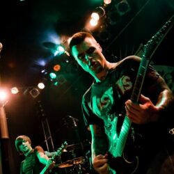 Evergreen Terrace