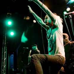 Evergreen Terrace