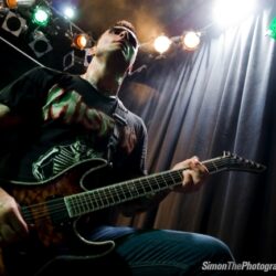 Evergreen Terrace