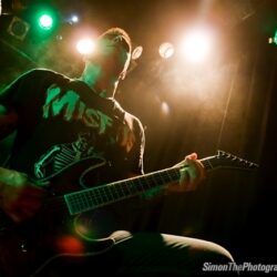 Evergreen Terrace