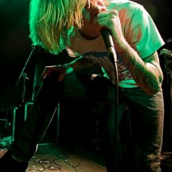 Evergreen Terrace