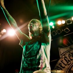 Evergreen Terrace