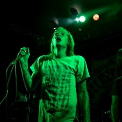 Evergreen Terrace