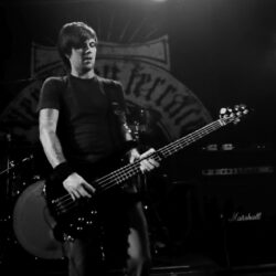 Evergreen Terrace