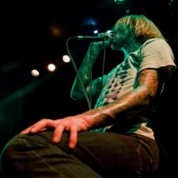 Evergreen Terrace