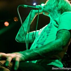 Evergreen Terrace