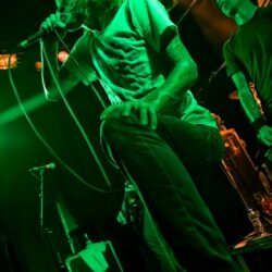 Evergreen Terrace