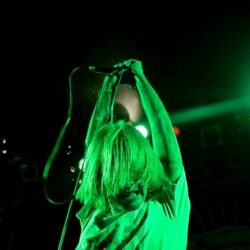 Evergreen Terrace