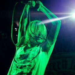 Evergreen Terrace