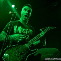 Evergreen Terrace