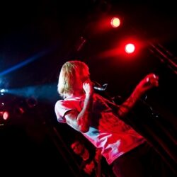 Evergreen Terrace