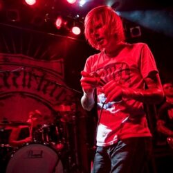 Evergreen Terrace
