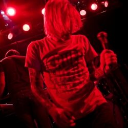 Evergreen Terrace