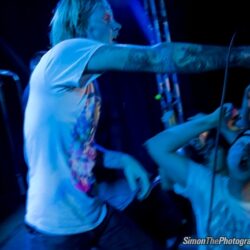 Evergreen Terrace