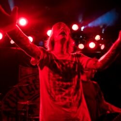 Evergreen Terrace
