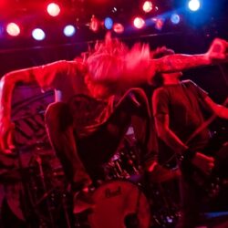 Evergreen Terrace
