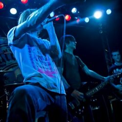 Evergreen Terrace