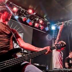 Evergreen Terrace
