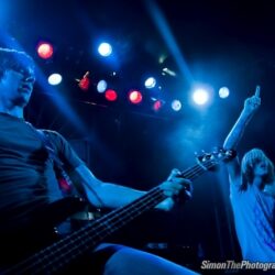 Evergreen Terrace