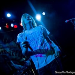 Evergreen Terrace