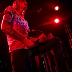 Evergreen Terrace