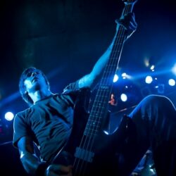 Evergreen Terrace